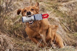 400 grams randig dummy med Beneagle